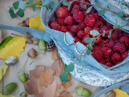 Jeans bag full of fresh juicy raspberries covered by a green branch and autumn background with green acorns, yellow leaves and tree bark pieces.