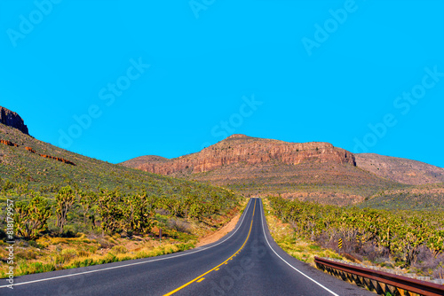 Fotografía Arizona Highway Through Stunning Desert Scenery