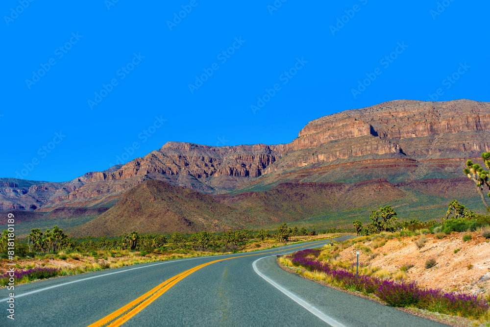 Desert Road Through Arizona's Majestic Terrain