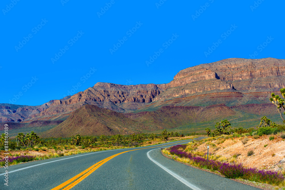 Desert Road Through Arizona's Majestic Terrain Desert Road Through Arizona's Majestic Terrain