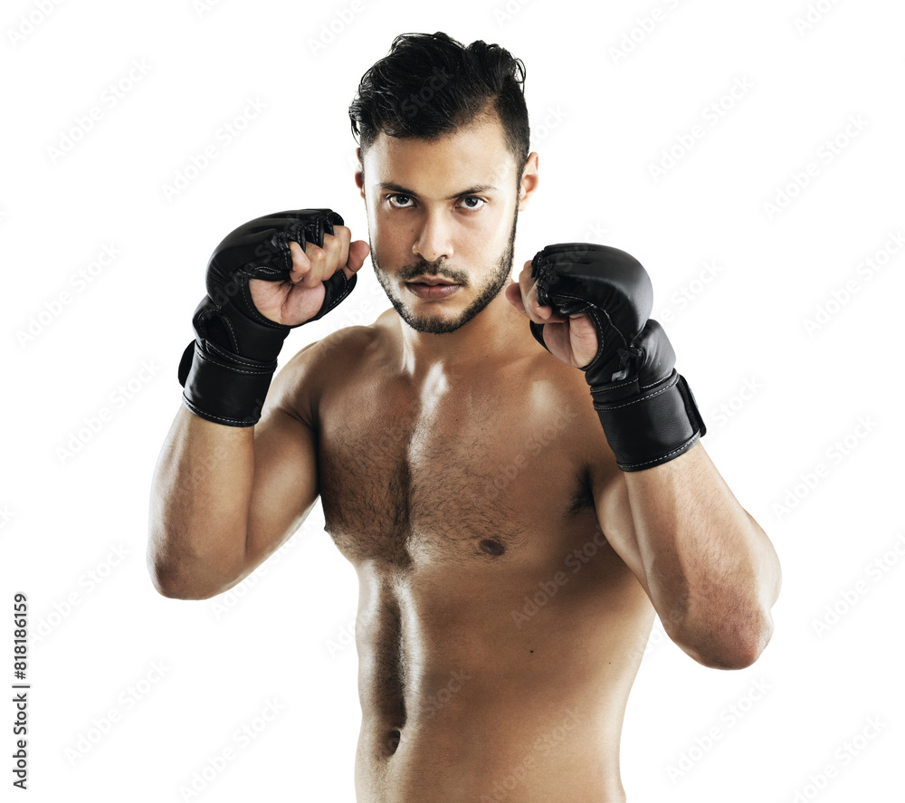 Man, martial arts and gloves in studio portrait with training, fitness and combat by white background. Person, athlete and mma fighter with workout, exercise and ready for contest with contact sport Man, martial arts and gloves in studio portrait with training, fitness and combat by white background. Person, athlete and mma fighter with workout, exercise and ready for contest with contact sport