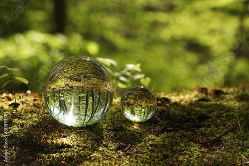 Beautiful green trees outdoors  overturned reflection. Crystal balls in forest. Space for text