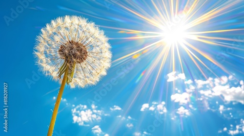  A dandelion drifts in the wind against a backdrop of a vivid blue sky In the foreground  a radiant sunburst unfurls