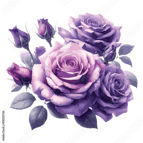 Elegant Watercolor Floral and purple roses Art on Transparent Background	