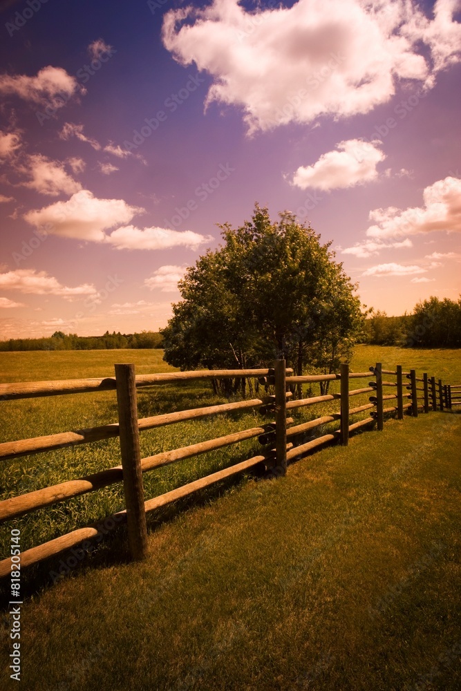 Field With Tree And Fence Field With Tree And Fence