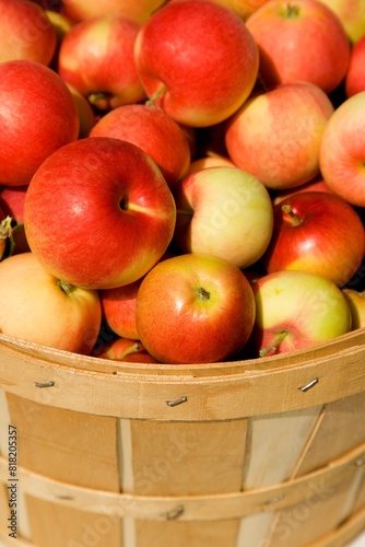 Bushel Of Apples photo