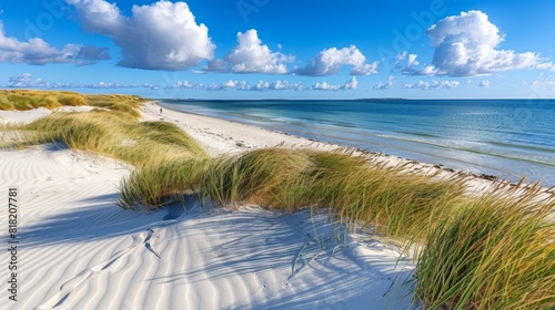  A sandy beach with grass growing from the sand Above  a blue sky dotted with white clouds overlays the ocean The top and bottom borders are both framed by identical blue sk