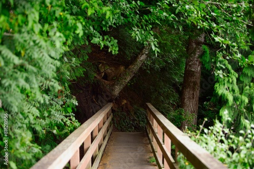 Bridge In Bamfield photo
