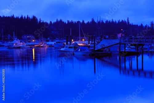 Marina In Bamfield photo