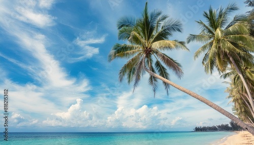 Palm tree in tropical beach blue summer sky for background. island travel vacation concept.