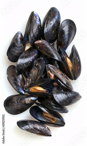 A pile of black mussels on a white background.