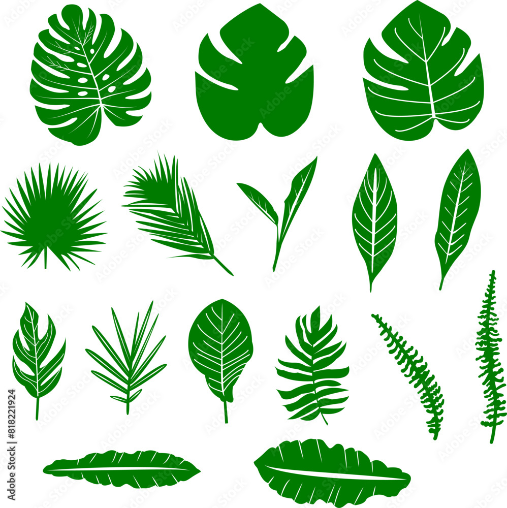 Tropical Botanical Collection. Exotic Jungle Leaf Print for Summer Decor. Illustration Set. Palm and Monstera Leaf Design. Tropical Garden. Exotic Banana Leaf. Tropical Botanical Collection. Exotic Jungle Leaf Print for Summer Decor. Illustration Set. Palm and Monstera Leaf Design. Tropical Garden. Exotic Banana Leaf.