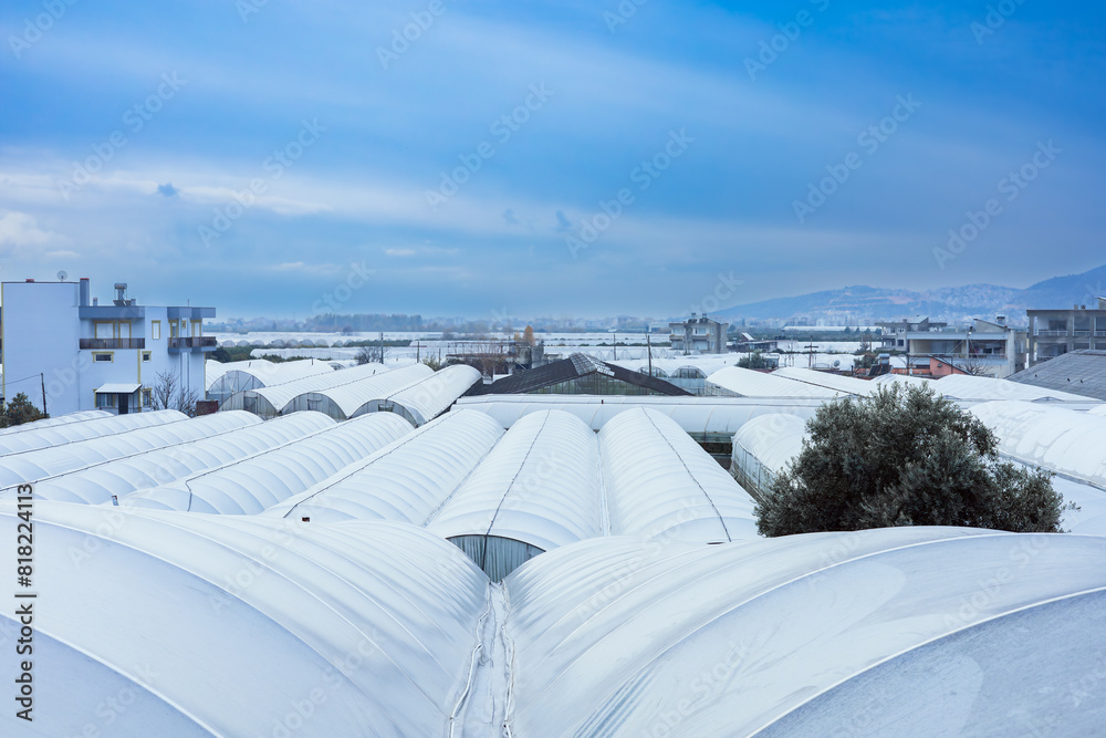 Rooftop greenhouses with city background and sky Rooftop greenhouses with city background and sky