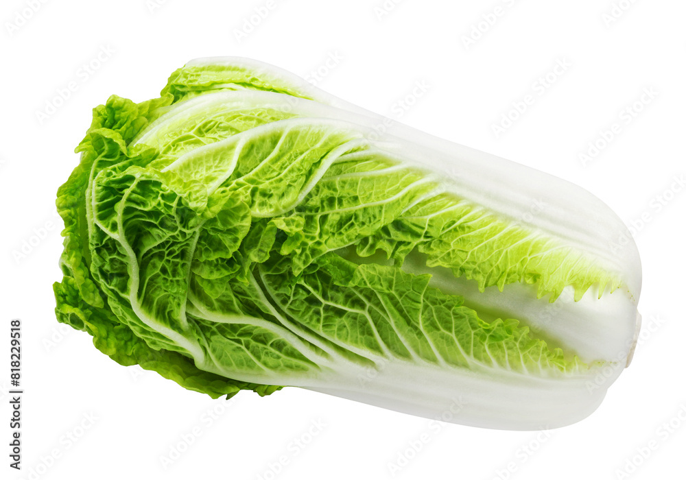 Chinese cabbage isolated on transparent background.