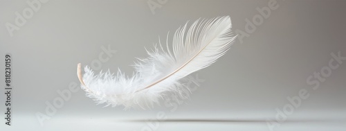 A single feather floating in the air with negative space, monochrome