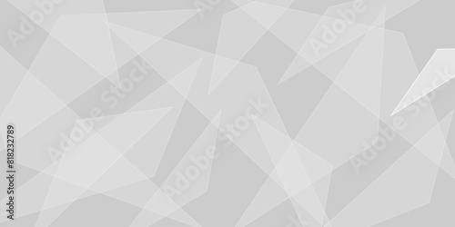 Abstract elegant background white and gray triangle texture. Abstract white and grey geometric overlapping line pattern abstract futuristic background design. data concept. vector illustration.