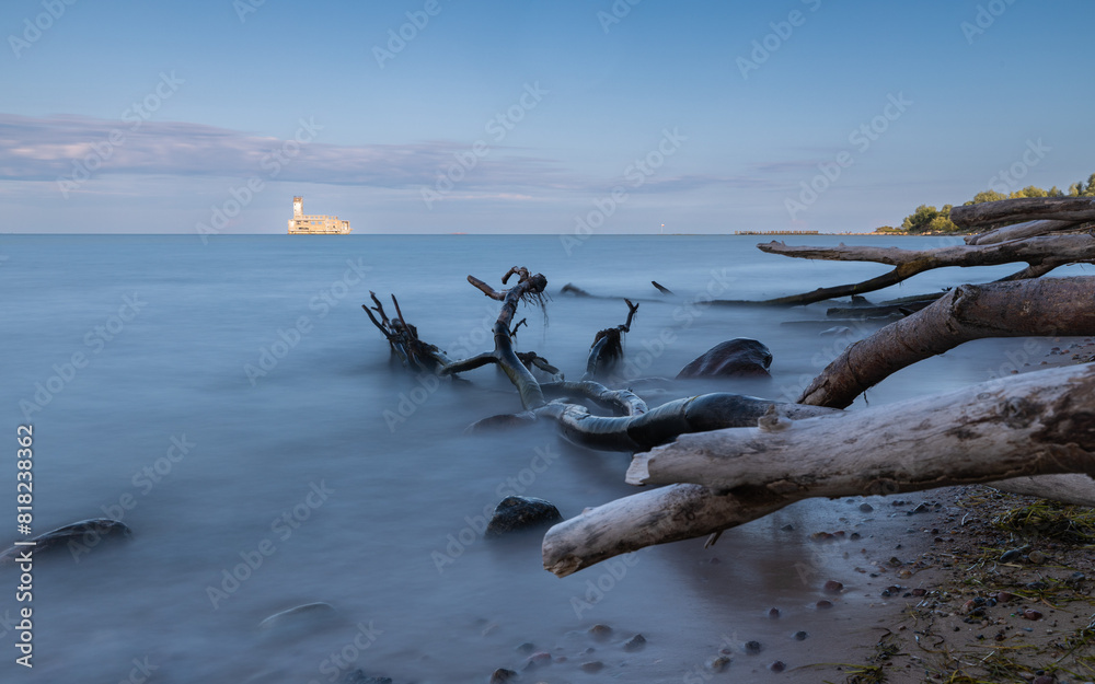 Tree branches submerged in the sea, Baltic coast