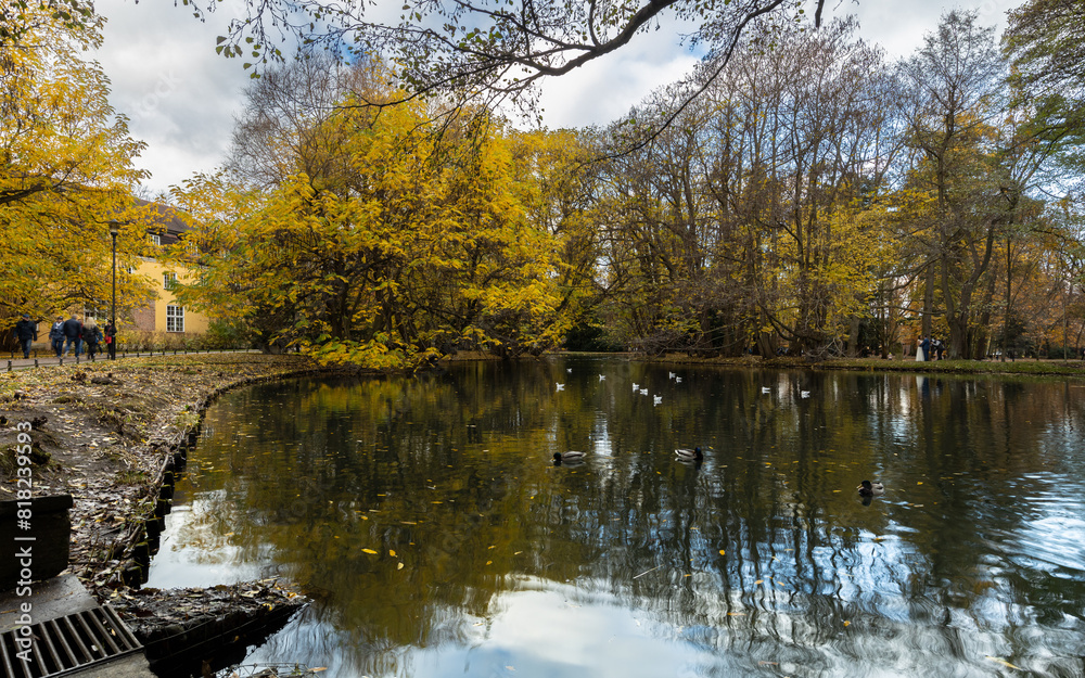 Trees in autumn in Oliwa Park, Baltic Coast
