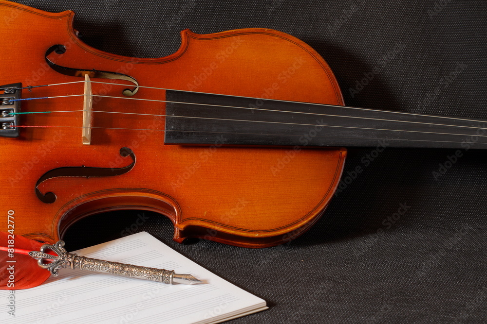 Fototapeta premium medio violin partitura pluma fondo negro