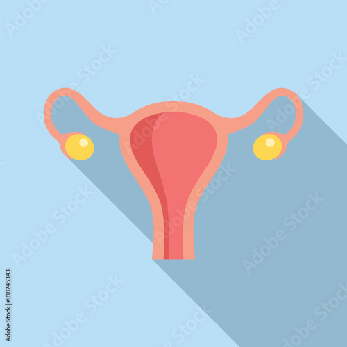 Illustration of the female reproductive system anatomy with uterus. Ovaries. Fallopian tubes. And other anatomical parts in a medical. Scientific. Designed for gynecological and healthcare purposes photo