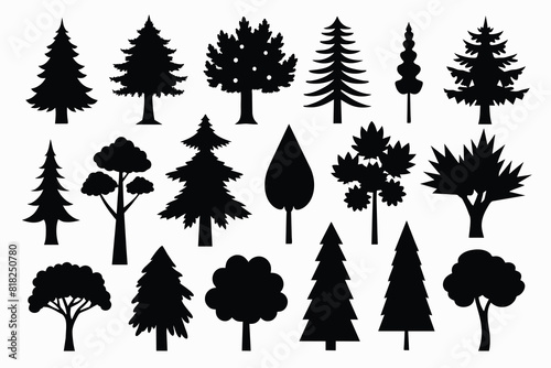 Set of tree outdoor travel silhouette coniferous natural badges, tops pine spruce branch cedar and plant leaf abstract stem drawing vector photo