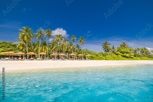 Empty beach with beach bar. Leisure loungers with sun beds and umbrellas. Tropical scene  luxury travel design. Palm trees sandy shore  calm waves. Sunny sky summer landscape  vacation exotic tourism