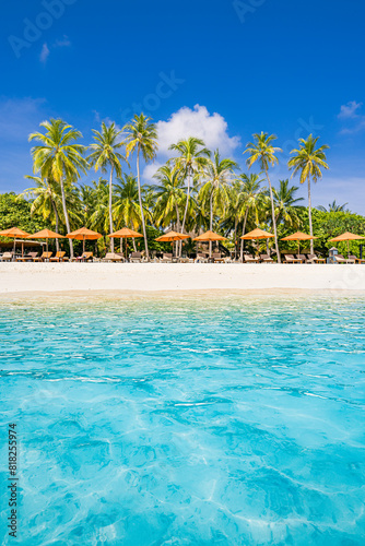 Empty beach with beach bar. Leisure loungers with sun beds and umbrellas. Tropical scene  luxury travel design. Palm trees sandy shore  calm waves. Sunny sky summer landscape  vacation exotic tourism