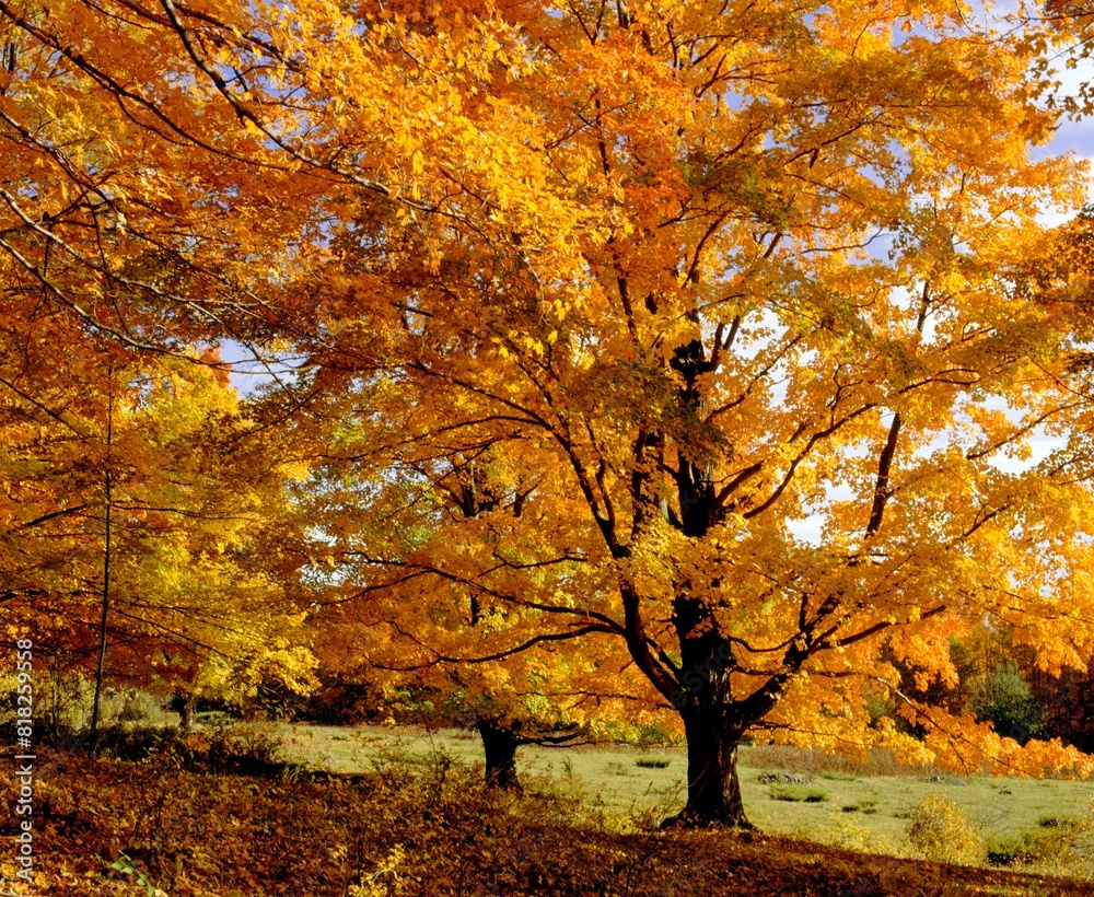 Fall Colours In Eastern Townships, Quebec, Canada Fall Colours In Eastern Townships, Quebec, Canada