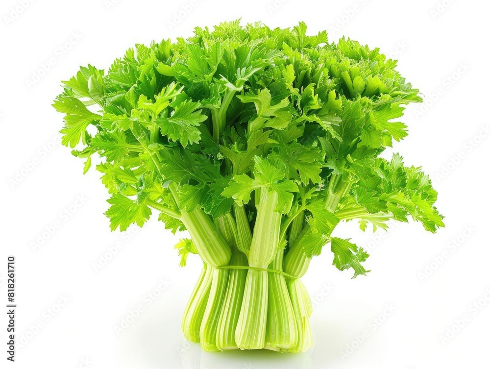 fresh Celery isolated on white background fresh Celery isolated on white background