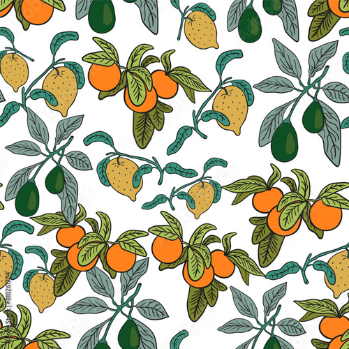 color isolated seamless pattern citrus fruits lemon tangerine avocado in vector. template for backdrop textile wallpaper wrapping background print decor design