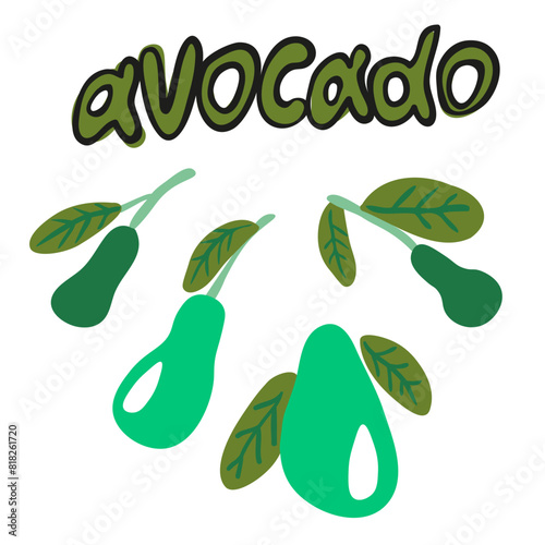 isolated avocado in vector. image of natural healthy eco food.template for logo sticker poster print decor design