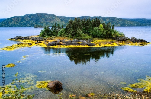 Foto Lake Near Swift Current, Burin Peninsula, Newfoundland, Canada