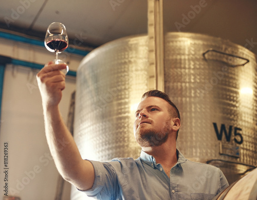 Basement, drink and glass with man in wine cellar for industry, manufacturing or production. Barrel, business and storage with serious sommelier at winery for distillation or fermentation of alcohol