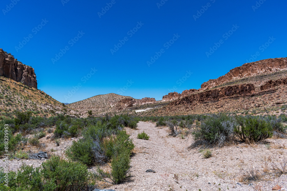 Beautiful Summer Landscape, Basin and Range National Monument, Nevada