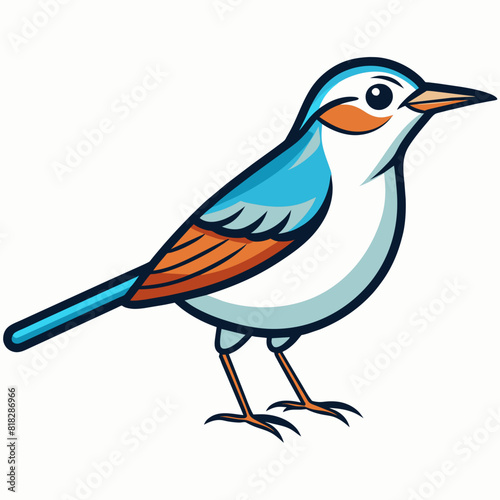 Aquatic Warbler bird knocks icon vector illustration
