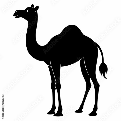 Camel silhouette of vector illustration 