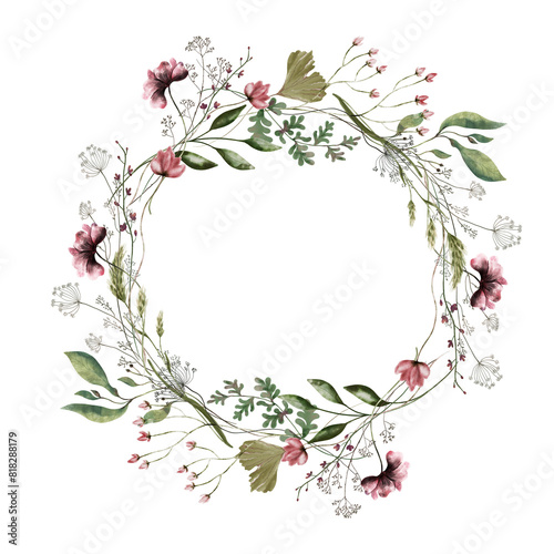 Fototapeta Naklejka Na Ścianę i Meble -  Wildflowers watercolor flowers. Wreath, bouquet with watercolor flowers. Transparent background.