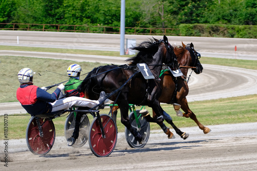 Racing horses trots and rider on a track of stadium. Competitions for trotting horse racing. Horses compete in harness racing. Horse runing at the track with rider. 