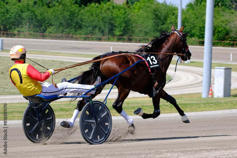 Racing horses trots and rider on a track of stadium. Competitions for trotting horse racing. Horses compete in harness racing. Horse runing at the track with rider.
Racing horses trots and rider on a track of stadium. Competitions for trotting horse racing. Horses compete in harness racing. Horse runing at the track with rider.