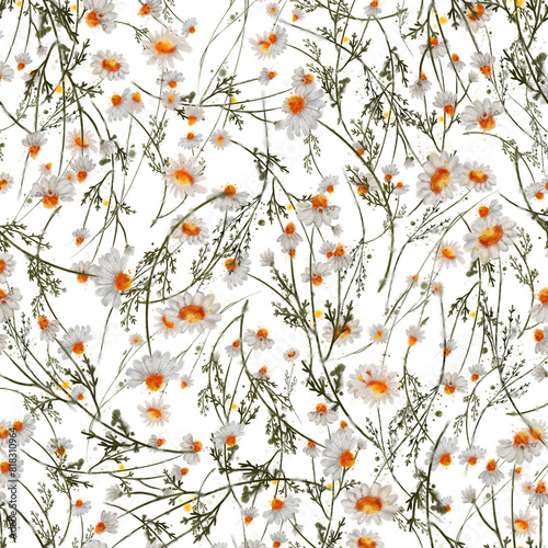 Photos A meadow adorned with wildflowers dances gently in the breeze, illuminated by warm sunlight