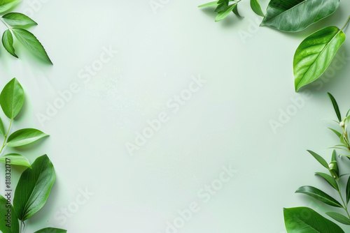 Green plant with leaves on white background  perfect for botanical designs  nature concepts  health and wellness graphics  or environmental themes.