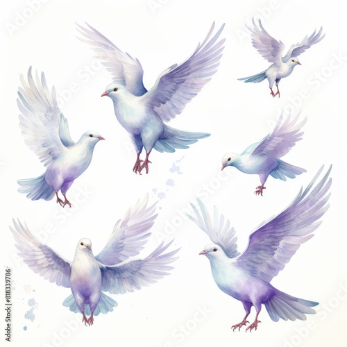 A series of white birds with purple wings flying in the air