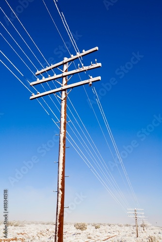 Telephone Wires In The Winter photo