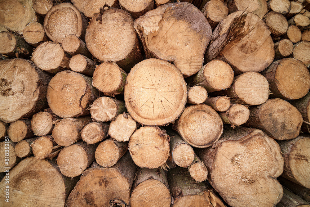 Stack of timber logs, natural material used for lumber and cuisine ingredients Stack of timber logs, natural material used for lumber and cuisine ingredients