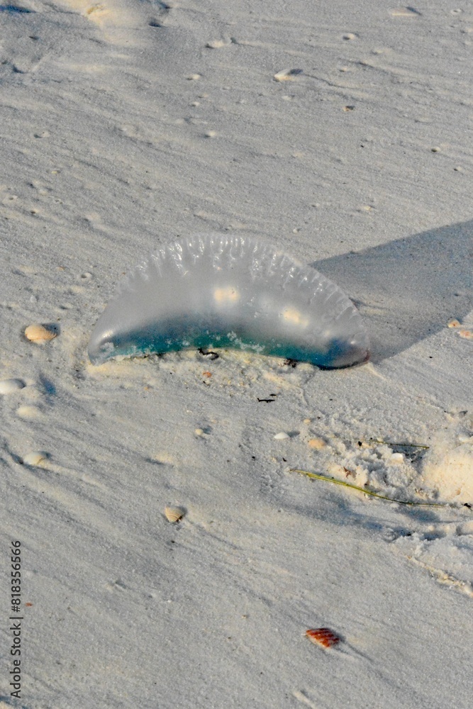 Obraz premium Patriotism