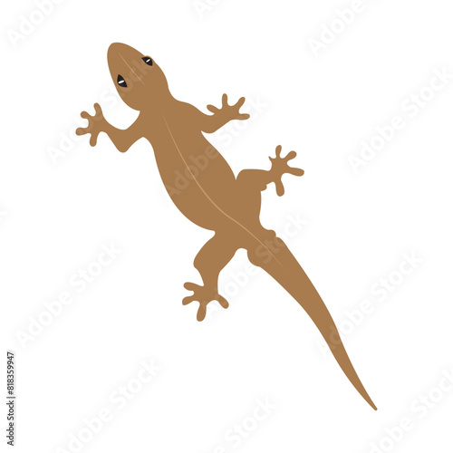 lizard icon vector illustration design template