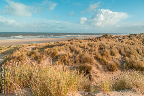 Terschelling island in the Wadden Sea - Holland or the Netherlands