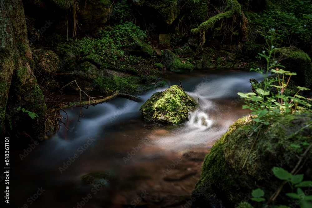 A river flowing through a lush green forest A river flowing through a lush green forest
