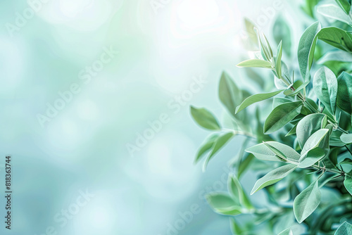 Green plant with leaves on white background  perfect for botanical designs  nature concepts  health and wellness graphics  or environmental themes.