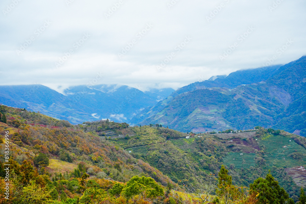 Fototapeta premium ali shan mountain and qingjing farm landscape in Taiwan 